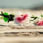 Jak wyczyścić sztuczne kwiaty