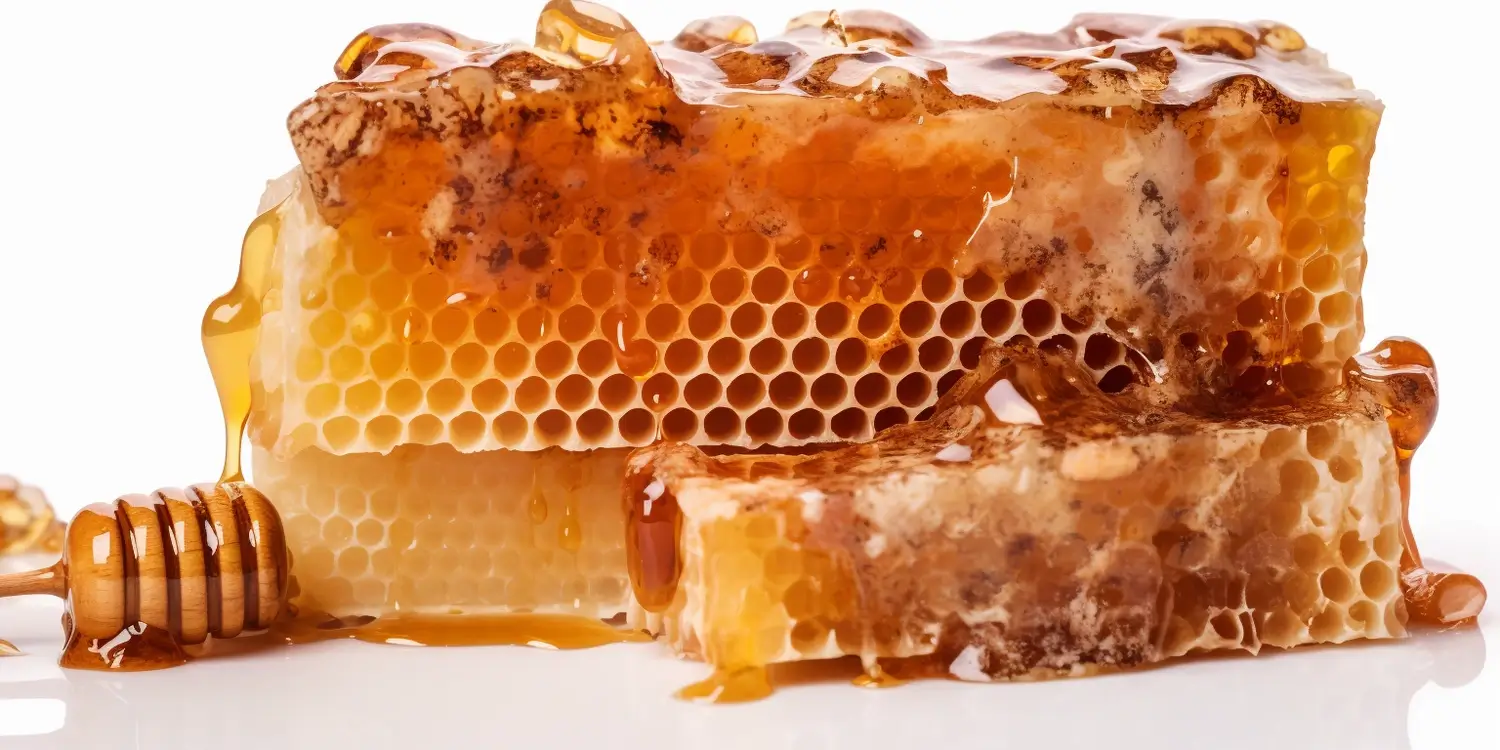 Co to znaczy miód nektarowo spadziowy?