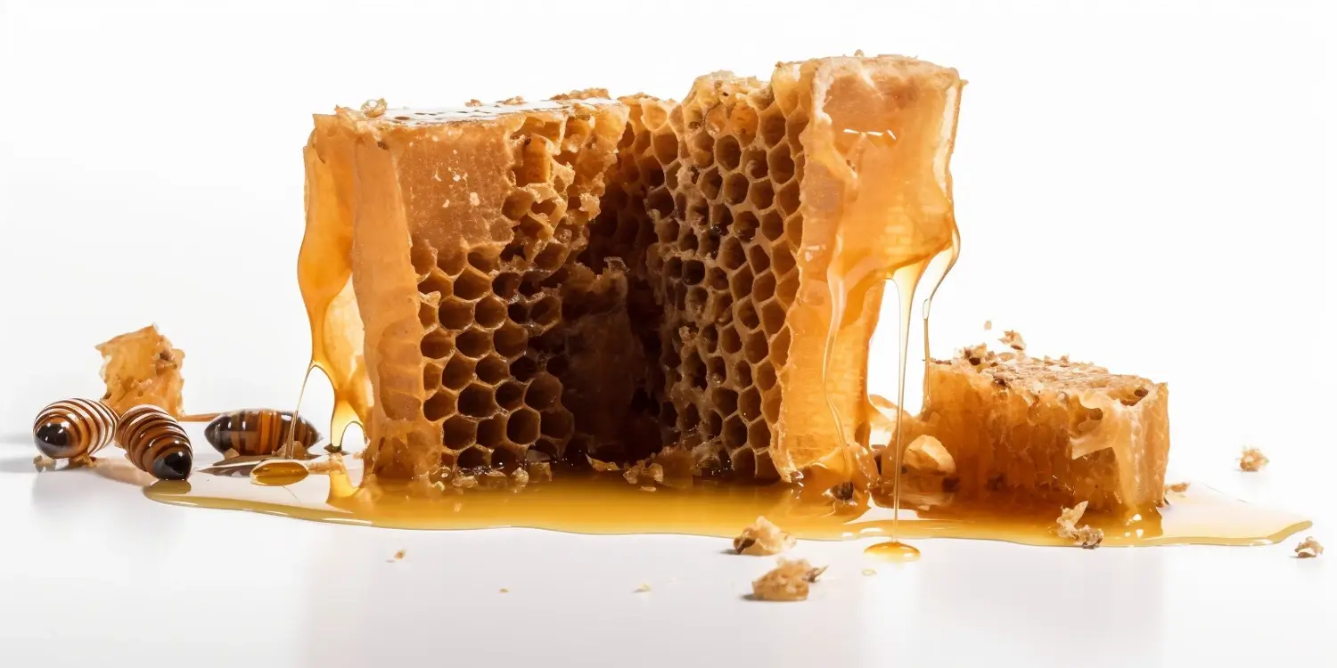 Kiedy wymieniamy matki pszczele?