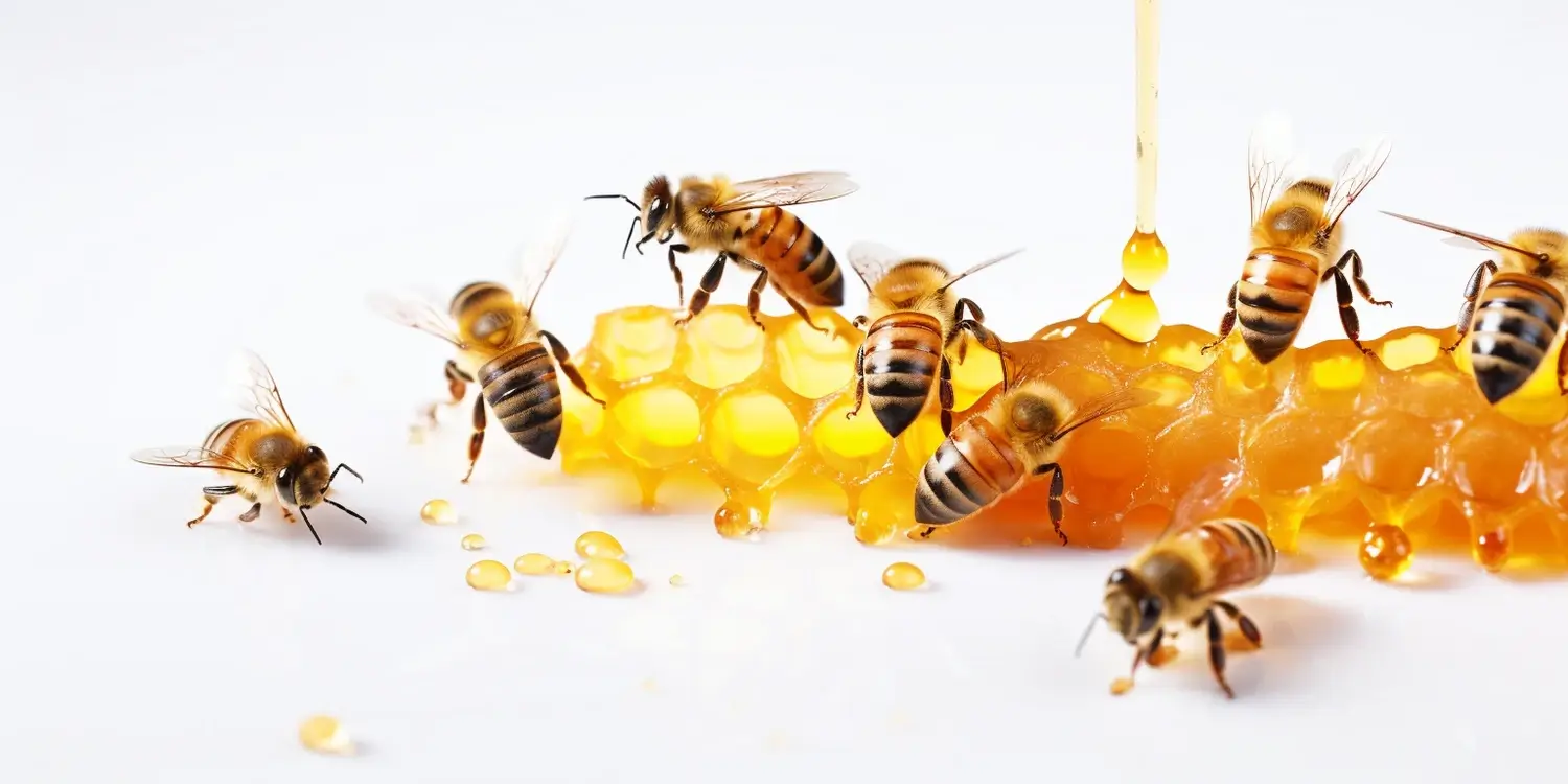 Odkład pszczeli z matką