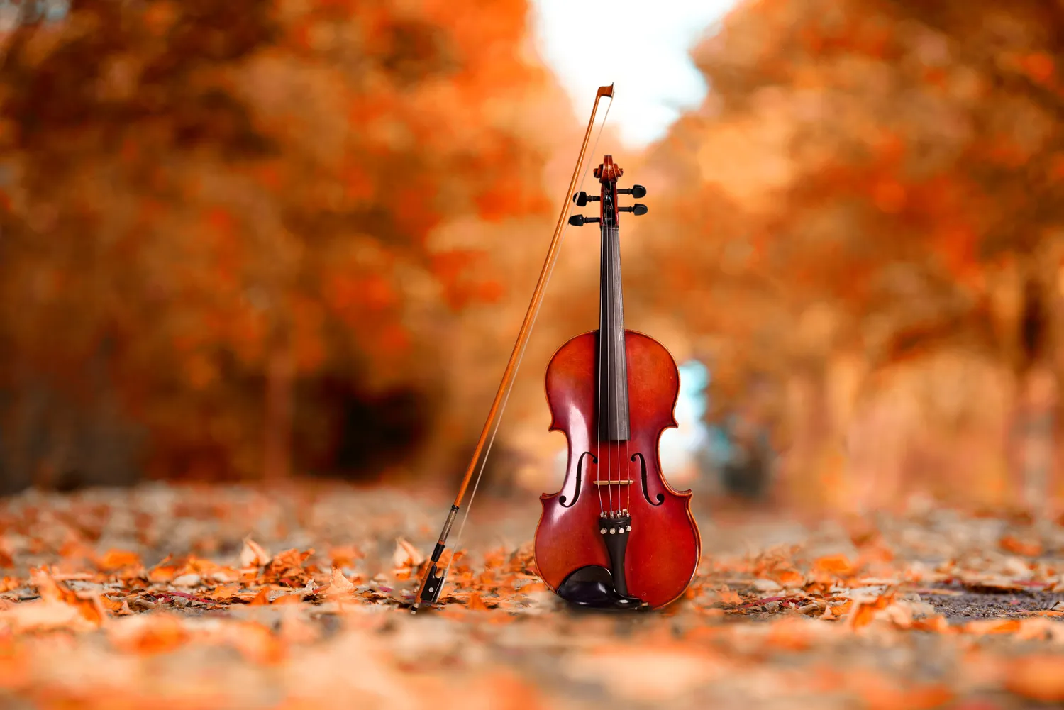 Nauka gry na skrzypcach Warszawa