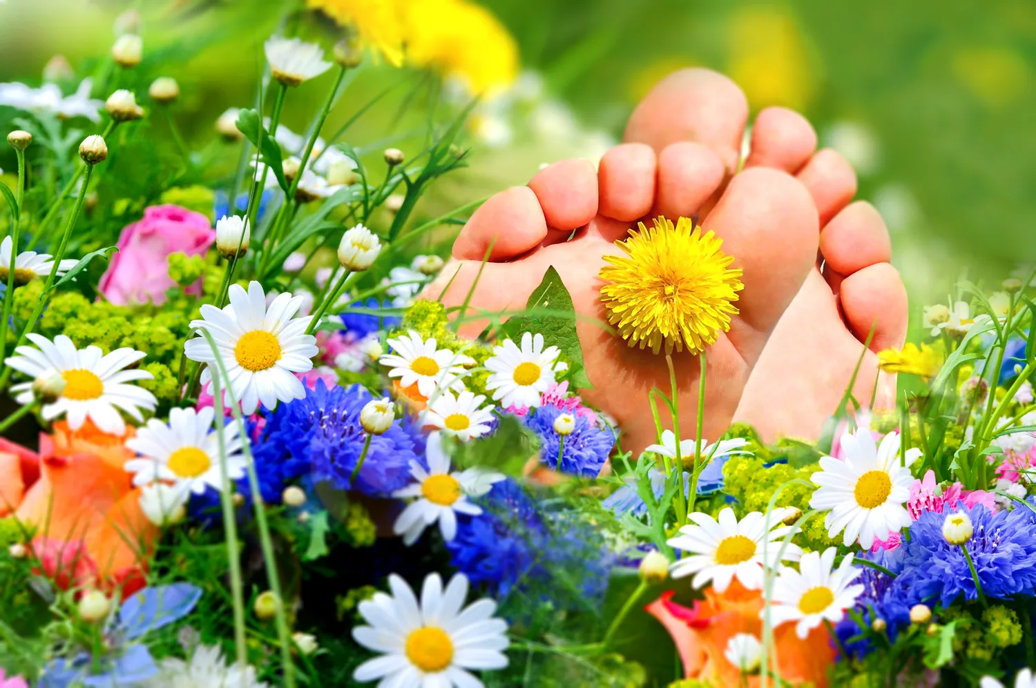 Podolog - kto to jest i czym się zajmuje?